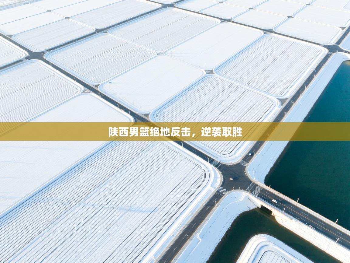 陕西男篮绝地反击，逆袭取胜  第2张